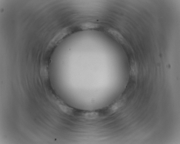 X0000076380426200610202044