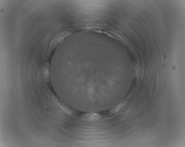 X0000076380427200610202044