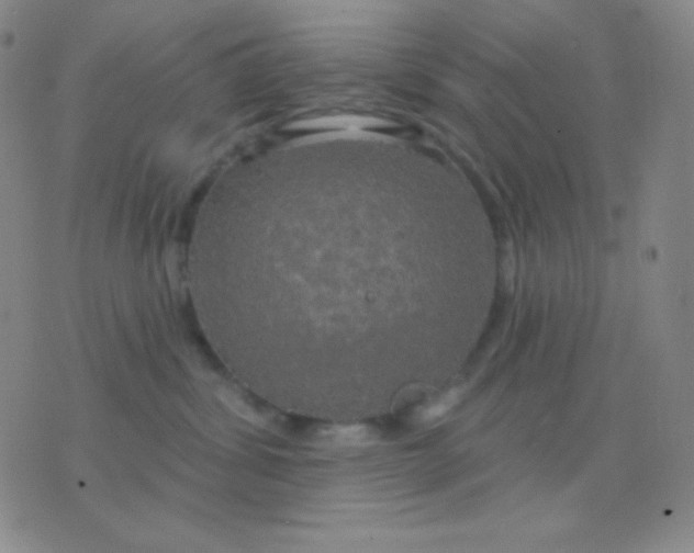 X0000076380428200610202044