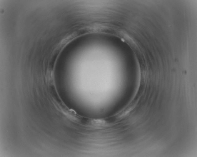 X0000076380429200610202044