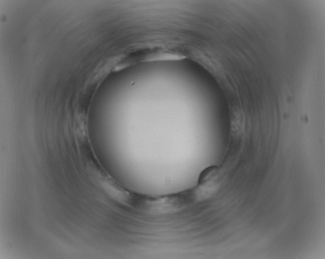 X0000076380430200610202044