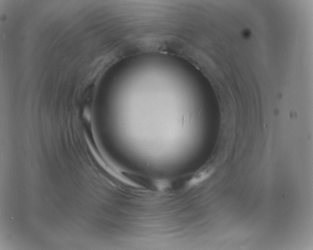 X0000076380432200610202044