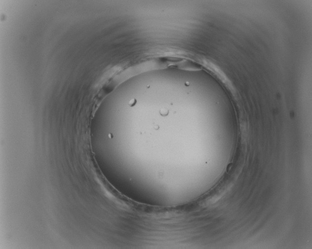 X0000076380433200610202043