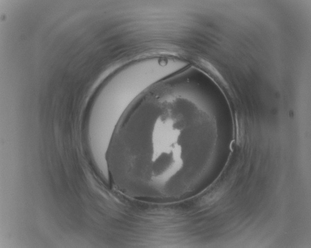 X0000076380435200610202043