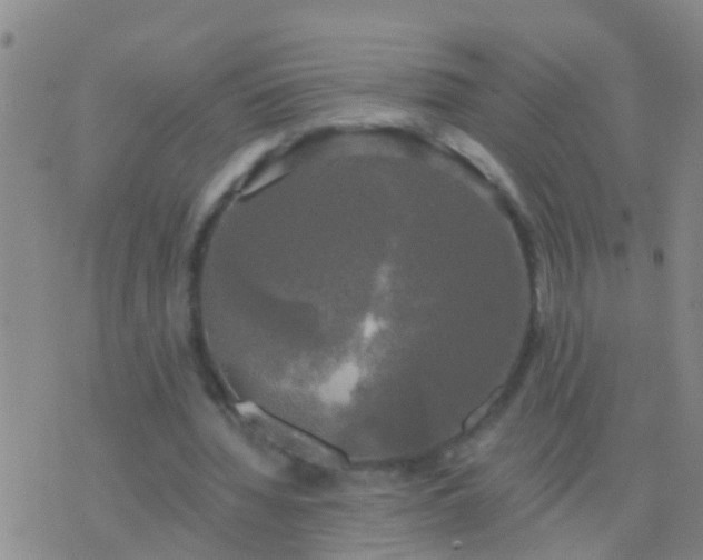 X0000076380436200610202043