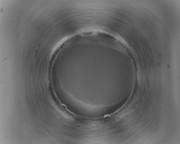 X0000076380438200610202043