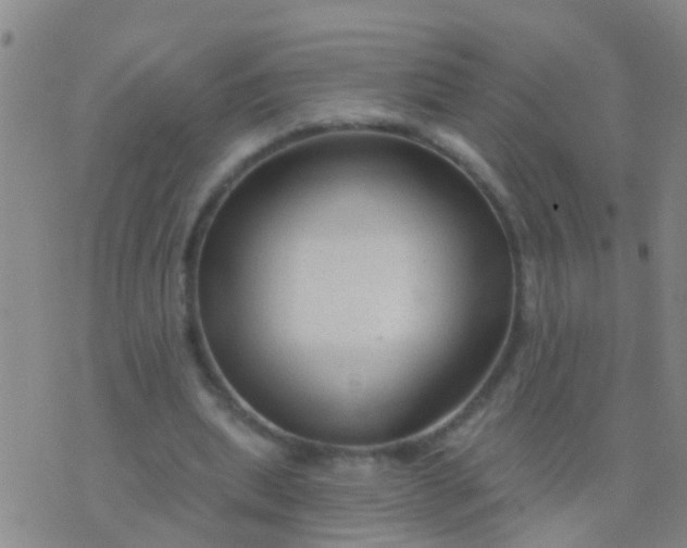 X0000076380439200610202043