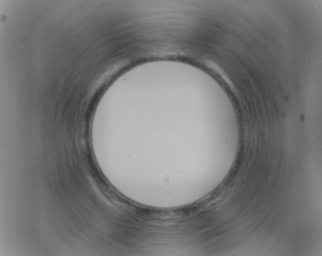 X0000076380443200610202043