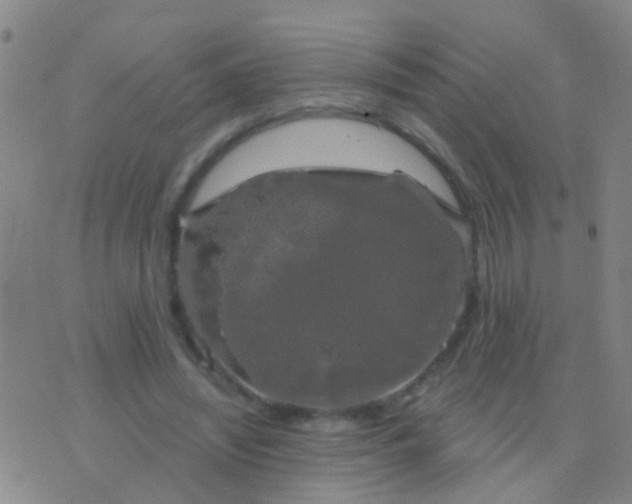 X0000076380444200610202043