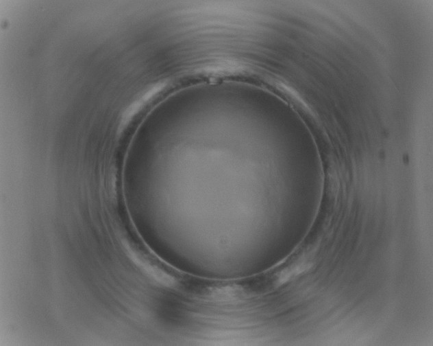 X0000076380446200610202043