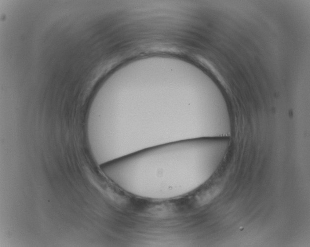 X0000076380447200610202043