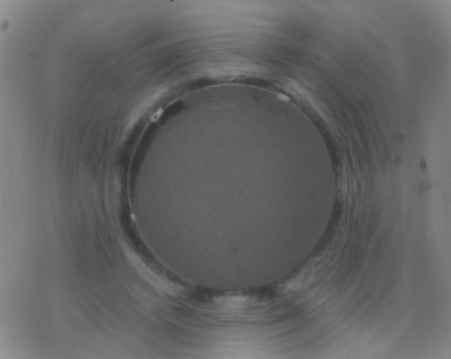 X0000076380448200610202043