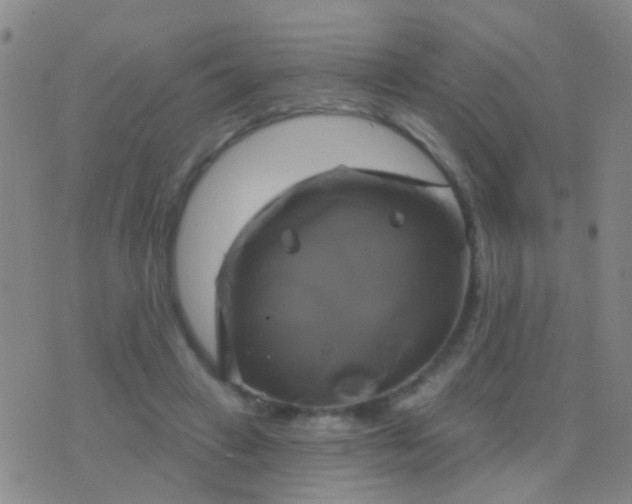 X0000076380449200610202043