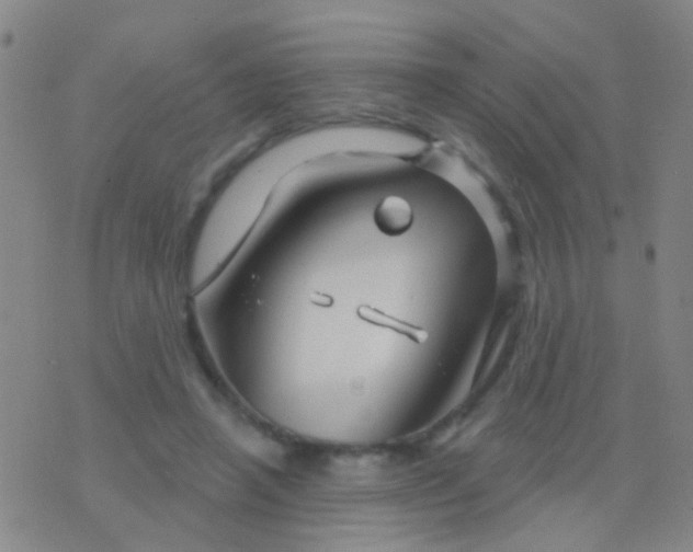 X0000076380450200610202043