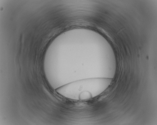 X0000076380451200610202043