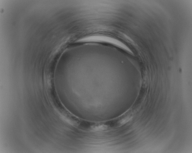 X0000076380452200610202043