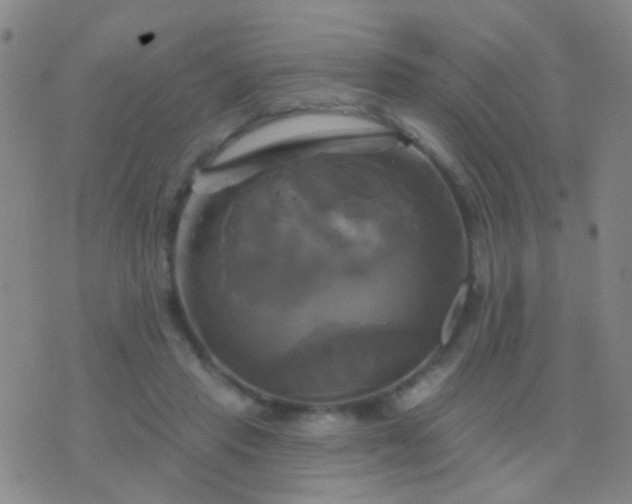 X0000076380453200610202043