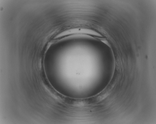 X0000076380454200610202043