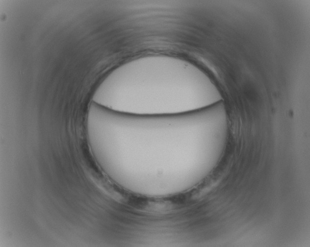 X0000076380455200610202043