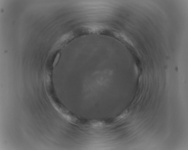 X0000076380456200610202043