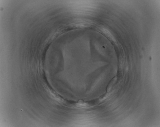 X0000076380457200610202043