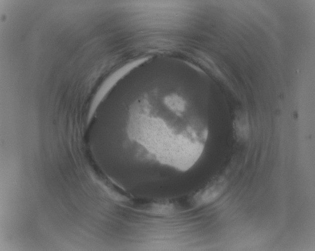 X0000076380458200610202043