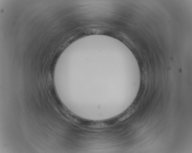 X0000076380459200610202043