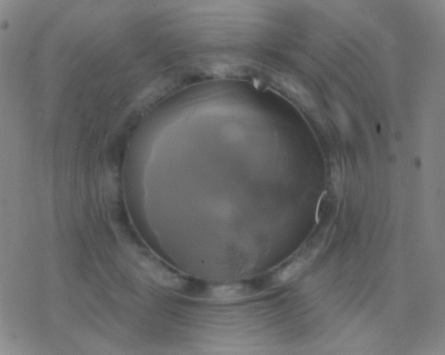 X0000076380461200610202043