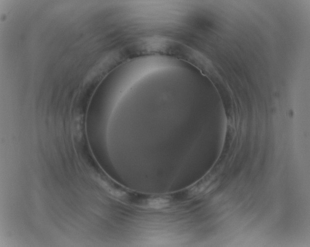 X0000076380462200610202043