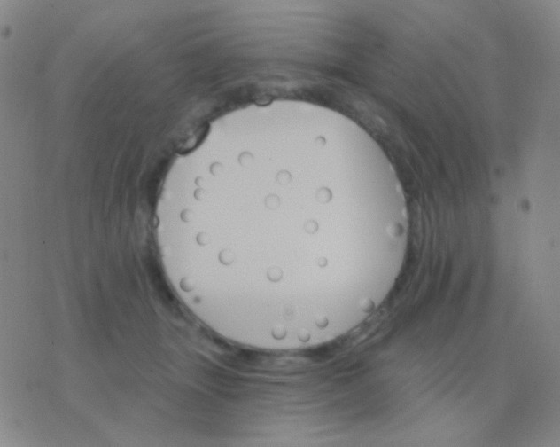 X0000076380463200610202043