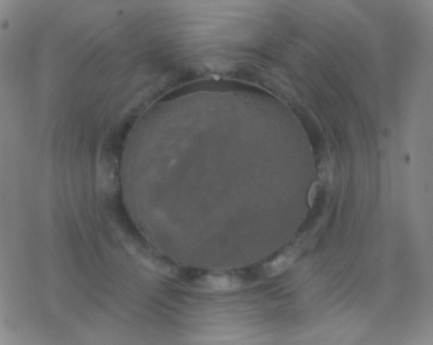 X0000076380464200610202043