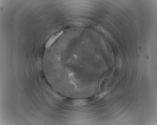 X0000076380465200610202044