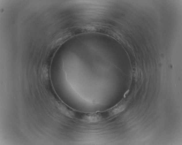 X0000076380466200610202044