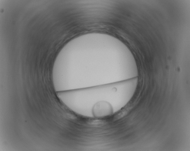 X0000076380467200610202044