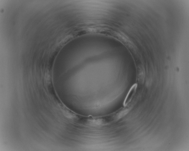 X0000076380469200610202044