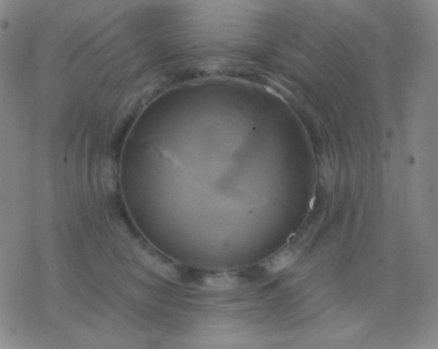 X0000076380470200610202044