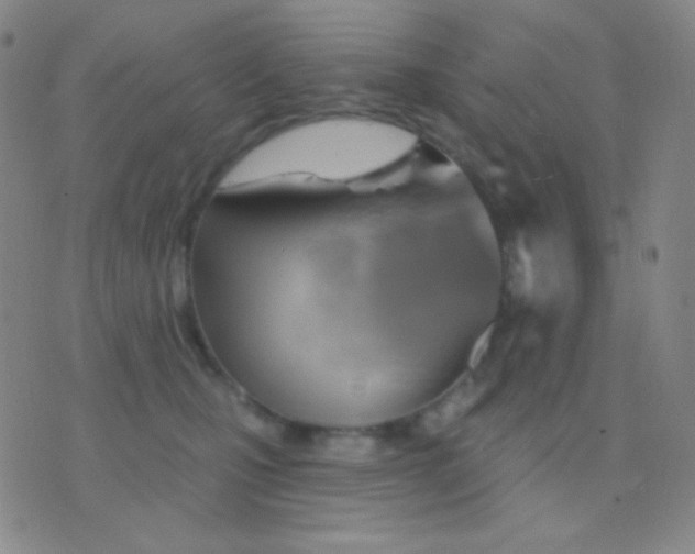 X0000076380471200610202044