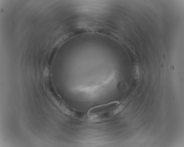 X0000076380472200610202044