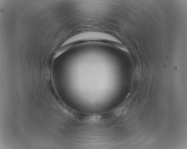 X0000076380474200610202044