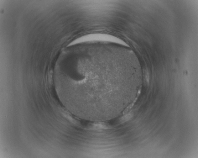 X0000076380475200610202044