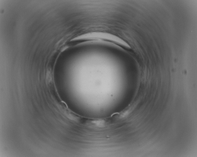 X0000076380478200610202044