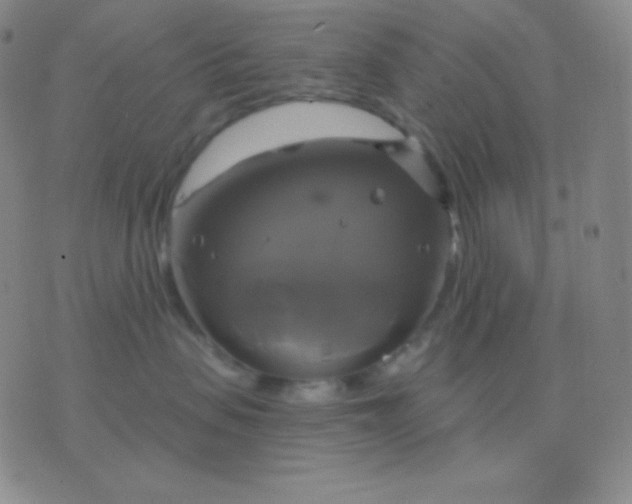 X0000076380479200610202044