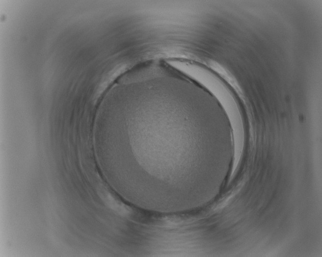 X0000076380481200610202043