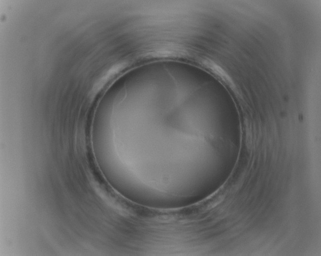 X0000076380482200610202043