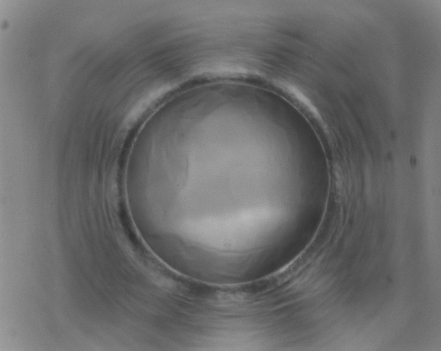 X0000076380487200610202043