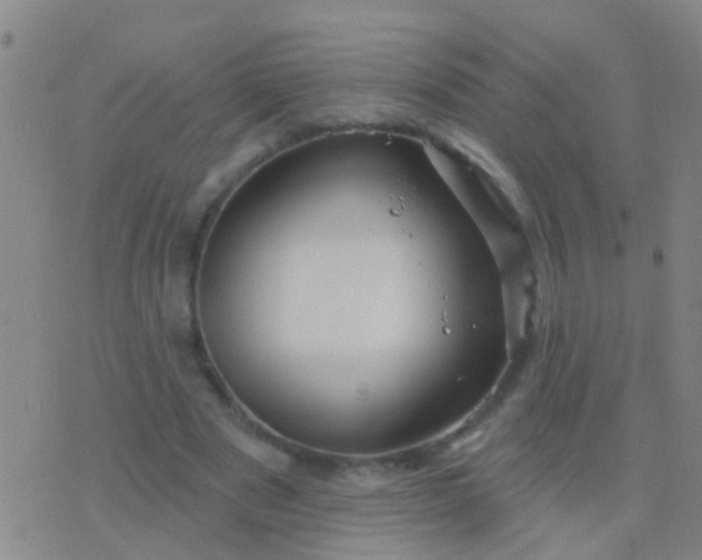 X0000076380489200610202043