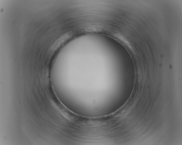 X0000076380490200610202043