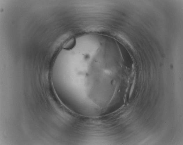 X0000076380491200610202043