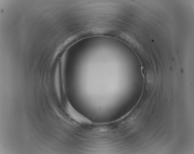 X0000076380492200610202043