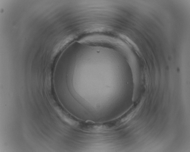 X0000076380493200610202043